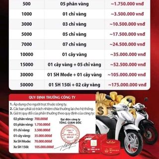 body lựu đỏ