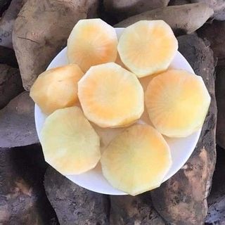 KHOAI SÂM LÀO CAI - BỔ NHƯ SÂM