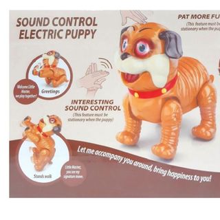 HỘP CHÓ MẶT XỆ PIN THỂ DỤC MẮT ĐÈN HT0550