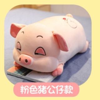 BỘ CHĂN GỐIHINHF HẸO KUTE hót hít