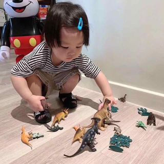 Bộ đồ chơi khung long 27 con