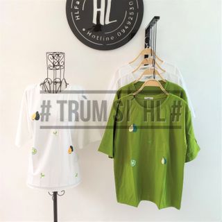 Áo Thun Tay Lỡ Quả Bơ