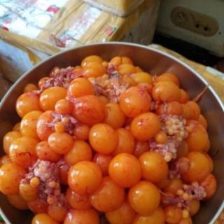 Trứng non