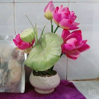 Chè Dưỡng Nhan