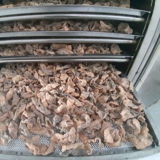 Da cá sấy giòn trứng muối thùng 10 Kg
