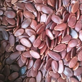Hạt Dưa Hùng Ký
