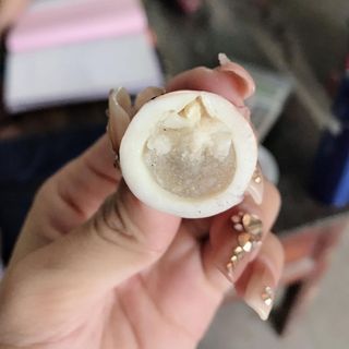 Mực trứng nguyên con