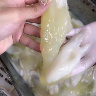 Mực trứng nguyên con