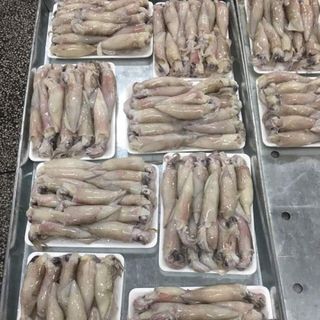 Mực trứng nguyên con