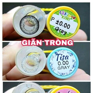lens Kính áp tròng GRAY