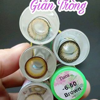 lens Kính áp tròng BROWN ĐỘ