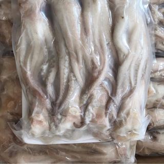 Râu mực đông lạnh
