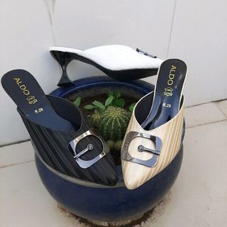 Sục sapo nữ
phom chuẩn