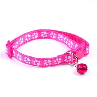 cổ chó con hoặc mèo
