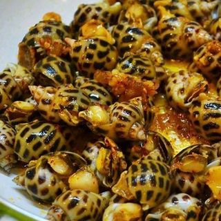 Ốc hương tươi sống