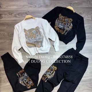 Set Bộ Da Cá