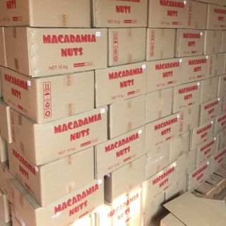 Hạt macca Úc size 30 - 32 size to nhất giá tốt nhất Đầy đủ giấy tờ