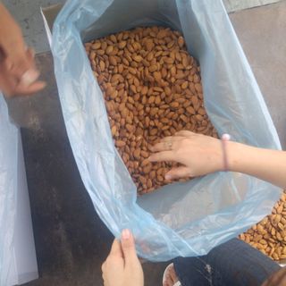 Nhân Hạnh nhân Mỹ tách vỏ - Đả rang chín Có giấy tờ xuất hóa đơn đỏ