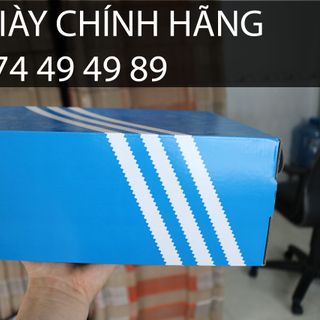 HỘP ĐỰNG GIÀY DÉP ADI DAS MÀU XANH GIÁ SỈ CỰC RẺ giá sỉ