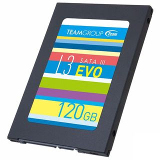 Ổ cứng SSD Team Group L3 EVO Sata III - 120GB giá sỉ