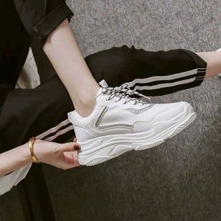 Giầy Thể Thao Nữ Giá Sỉ