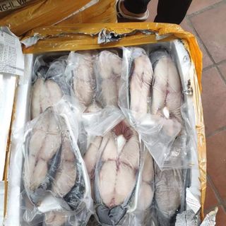 Cá thu cắt khúc