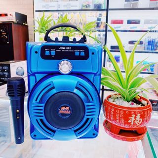 Loa Karaoke Mini JHW 802 Kèm Micro Dây 3m