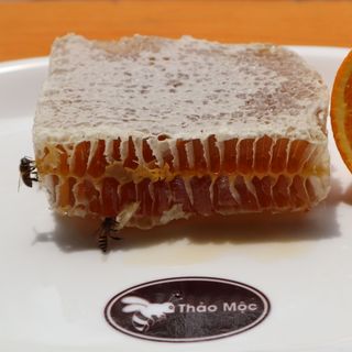Mật Ong Bánh Tổ Thảo Mộc Hộp 300gr Nguyên Chất 100