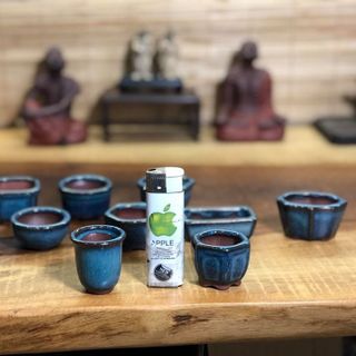10 chậu bonsai mini siêu độc đáo giá sỉ