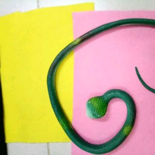 rắn đồ chơi trẻ em dài 67cm