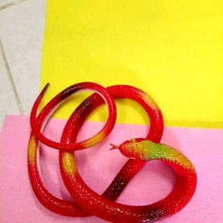 rắn đồ chơi trẻ em dài 67cm