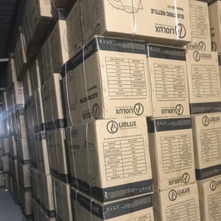 ẤM SIÊU TỐC INOX LIOLUX 101