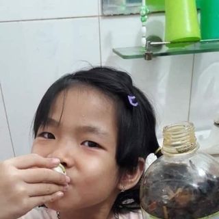 Thảo mộc đặc trị răng miệng nấm lưỡi viêm lợi chảy máu chân răng