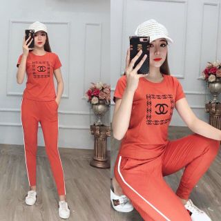 SET BỘ THUN THỂ THAO CHỮ