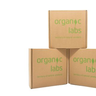 Son dưỡng môi chống nẻ hữu cơ Organic Labs từ Nga