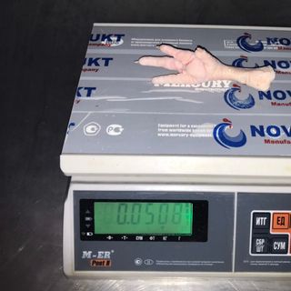 Bán Chân gà Đông Lạnh số lượng lớn