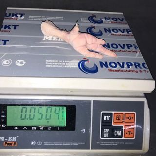Bán Chân gà Đông Lạnh số lượng lớn