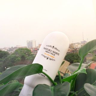 KEM DƯỠNG TRẮNG DA BODY NATURE WHITE MILKY PACK THE COLLAGEN ECOSY giá sỉ​ giá bán buôn