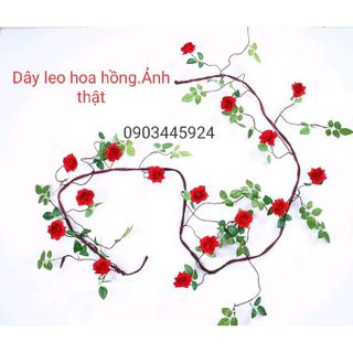 Hoa giả - dây hoa hồng leo cao cấp giả trang trí dài 3m