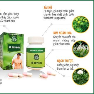 Thuốc Hà Diệp Đơn Hỗ Trợ Giảm Cân Hiệu Quả