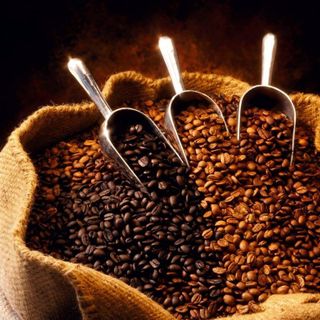 Cà phê Robusta rang mộc nguyên chất giá sỉ