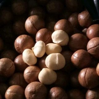 Hạt Macca size đại