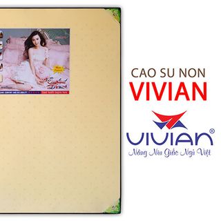 Nệm cao su non thông hơi Vivian KT 1m6x2mx10cm