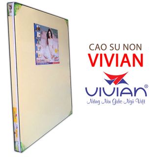 Nệm cao su non thông hơi Vivian KT 1m6x2mx10cm