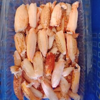 Giá Sỉ Càng Ghẹ A Thủy Hải sản đông lạnh