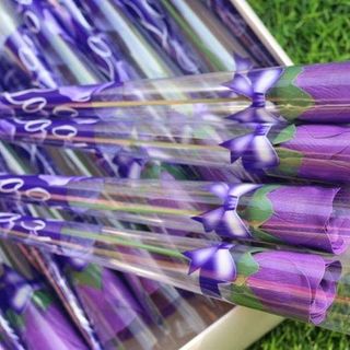 Hoa sáp thơm Hoa hồng sáp thơm nguyên cây nhiều màu