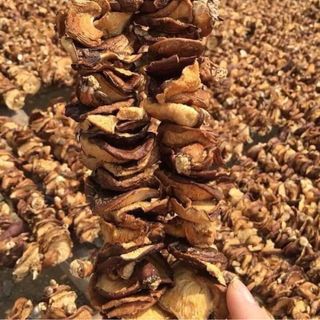 Nấm hương sapa