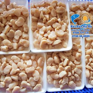 Giá Sỉ Cồi Sò Mai Thủy Hải sản đông lạnh