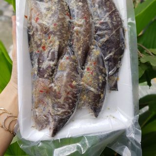 Giá Sỉ CÁ SẶC 1 NẮNG ƯỚP XẢ ỚT Thủy Hải sản đông lạnh