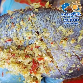 Giá Sỉ CÁ SẶC 1 NẮNG ƯỚP XẢ ỚT Thủy Hải sản đông lạnh